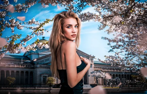Picture look, girl, hair, blonde, beauty, flowering