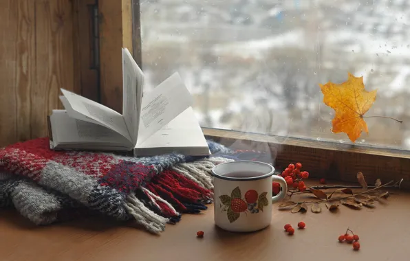 Picture glass, leaves, drops, tea, scarf, window, pair, mug