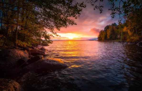 Autumn, forest, trees, sunset, lake, Finland, Finland, Tampere