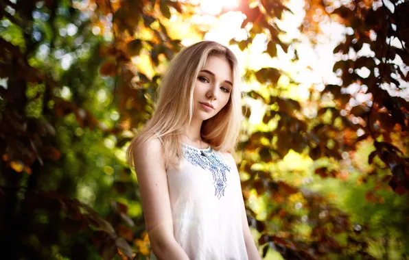 Leaves, sponge, the beauty, bokeh, Marc Hyden