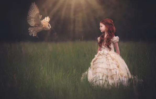 Picture flight, owl, dress, girl