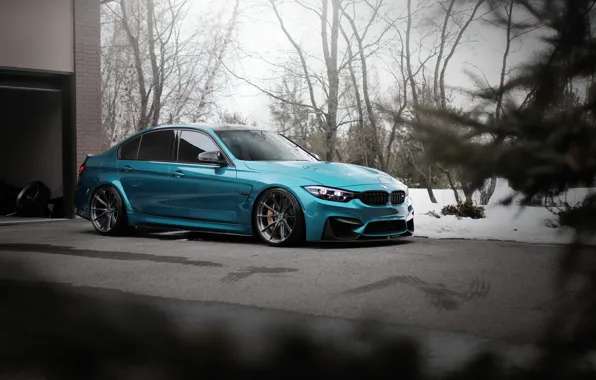 Picture BMW, Blue, Predator, F80