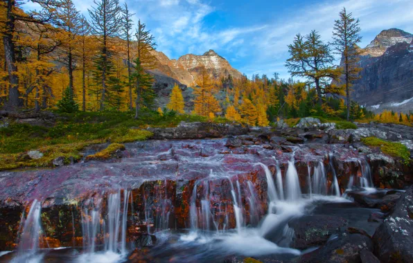 Autumn, forest, trees, mountains, river, stones, waterfall, Canada