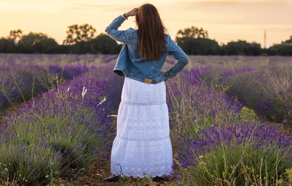 Picture field, girl, flowers, lavender, lavender field