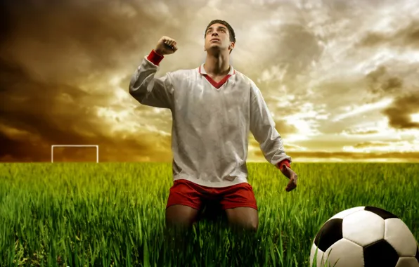 Grass, football, the ball, gate, player, on my knees, football field