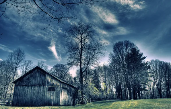 Picture field, trees, landscape, color, home