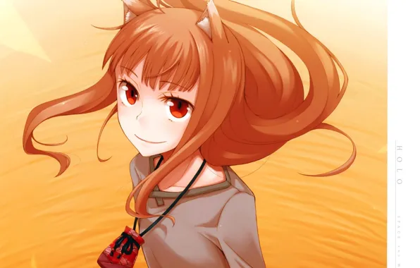 Picture look, the wind, red, shirt, ears, pouch, Spice and Wolf, Holo