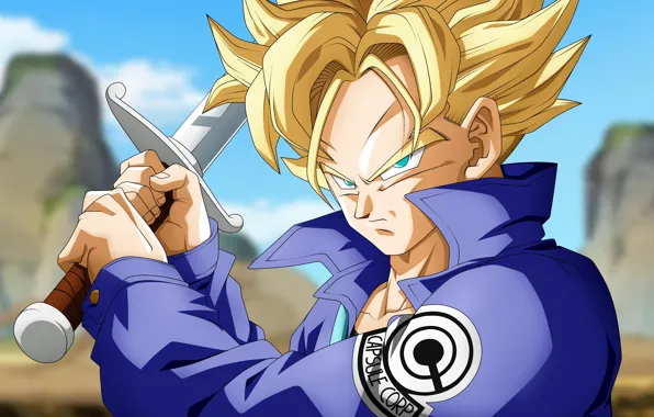 DBS, sword, game, anime, ken, blade, asian, manga