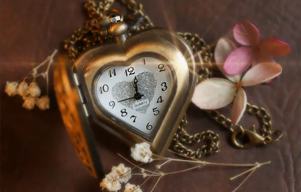 Macro, style, heart, watch, dial, chain, gypsophila, hydrangea flowers