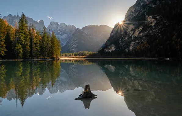 Forest, the sun, rays, light, mountains, fog, lake, reflection