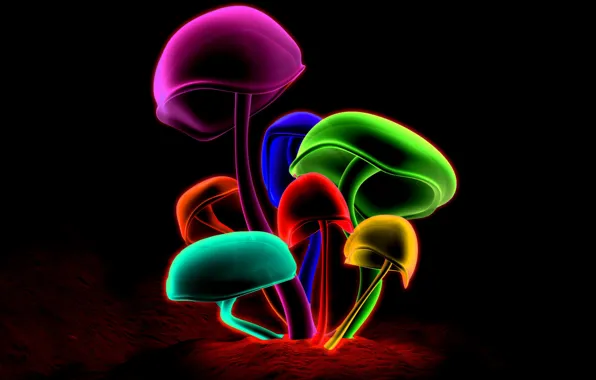 Picture mushrooms, colorful, psychedelic
