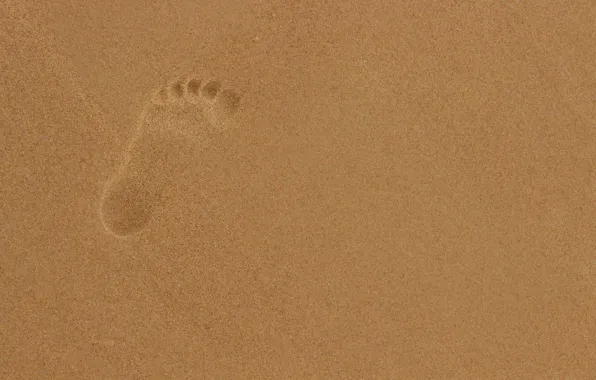 Sand, trail, imprint