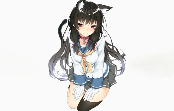 Girl, school uniform, long hair, legs, boobs, animal ears, anime, beautiful