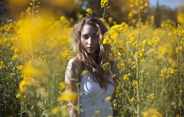 Look, girl, light, flowers, pose, blonde, white dress, bokeh