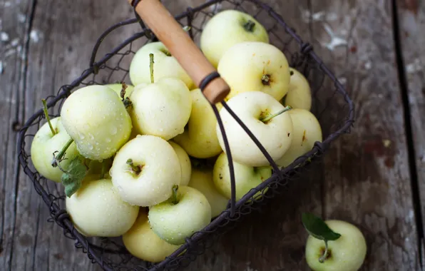 Autumn, basket, apples, harvest, fruit, Julia Khusainova