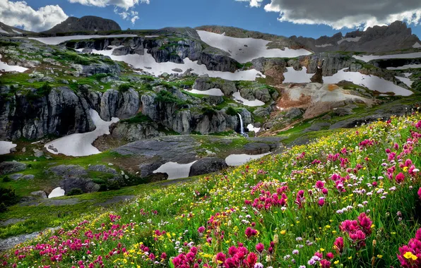 Landscape, flowers, mountains