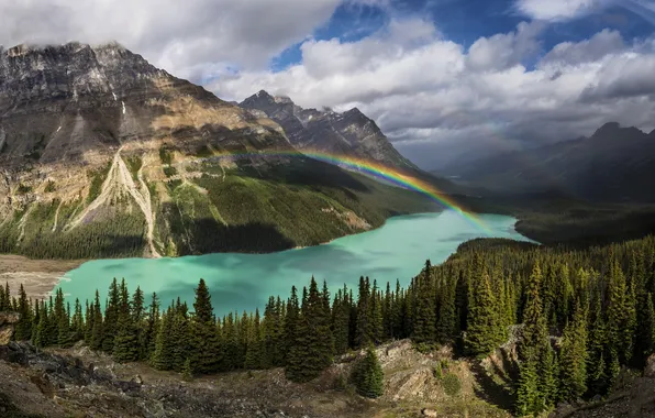 Forest, trees, mountains, nature, lake, rainbow, Canada