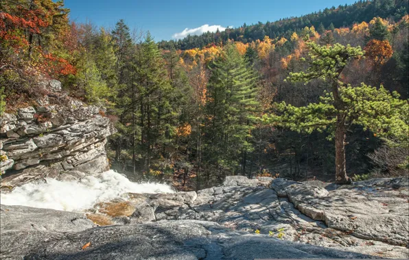 Picture autumn, forest, the sky, mountains, rocks