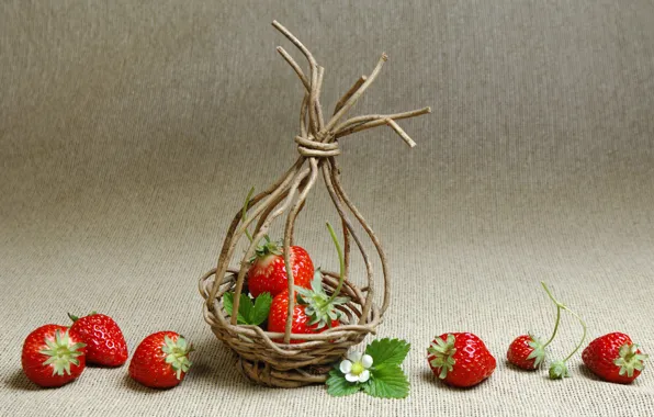 Strawberry, basket, branches