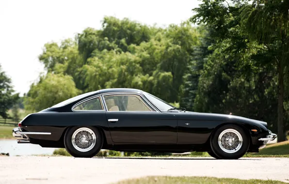 Lamborghini, Black, 350 GT, 1964