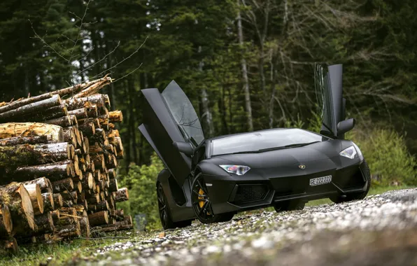 Picture Lamborghini, Forest, Supercar, Black, Aventador, Trees, LP700-4