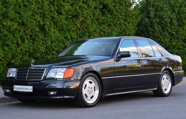 AMG, W140, Mercedes - Benz, 600SE