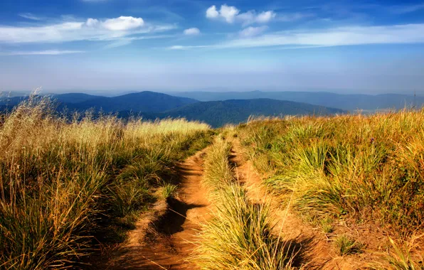 The sky, grass, landscape, mountains, nature, grass, road, mountains