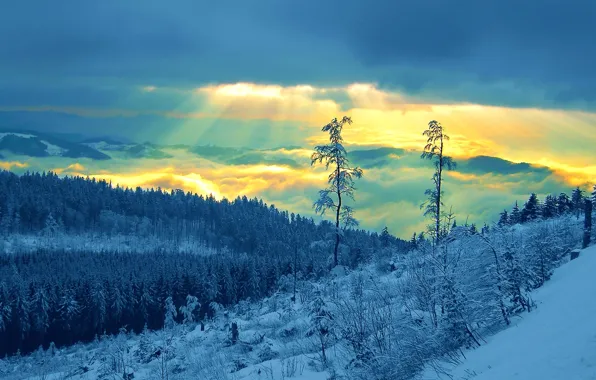Picture winter, the sky, clouds, rays, snow, trees, mountains