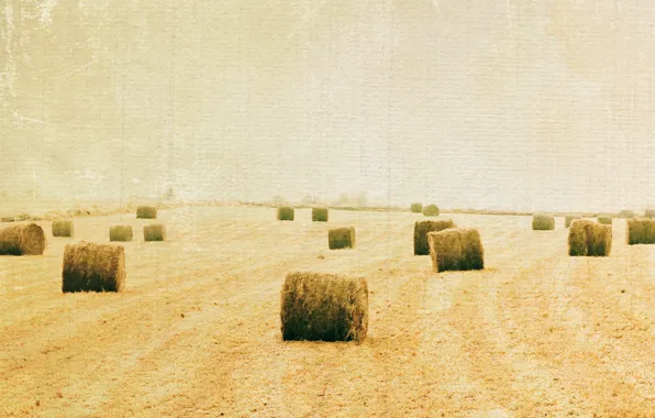 Picture field, style, background, hay