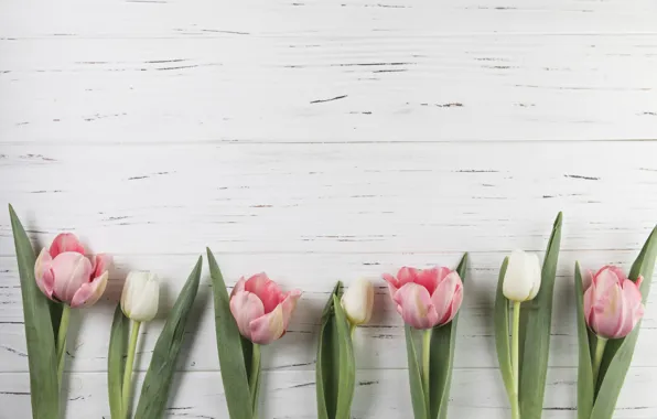 Flowers, tulips, pink, wood, pink, flowers, beautiful, tulips