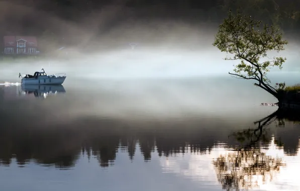 Picture landscape, fog, lake, tree, boat, morning