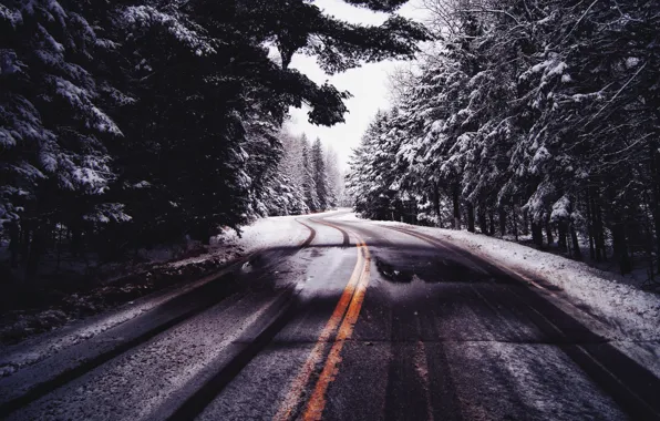 Cold, winter, road, forest, nature