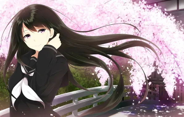 Picture the sky, girl, petals, Sakura, The wind, Anime, black hair, school uniform