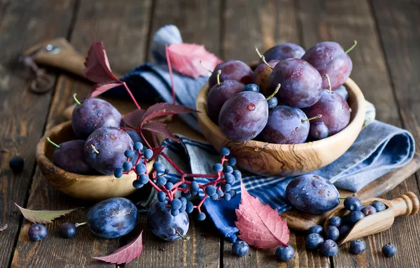 Autumn, leaves, berries, fruit, still life, plum
