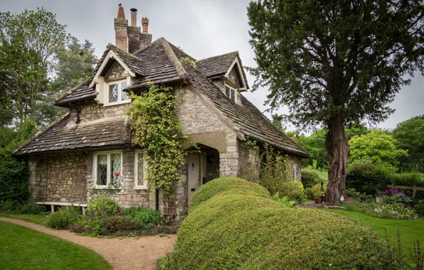 Landscape, house, plot