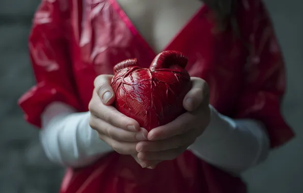 Girl, love, holiday, heart, hands, red dress, heart, Valentine's Day