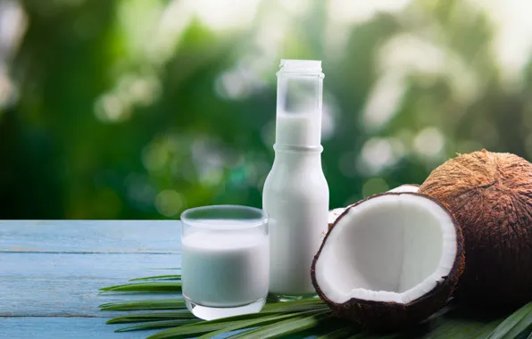 Picture coconut, milk, milk, coconut, coconut milk, coconut milk