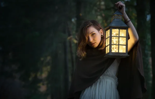 Forest, girl, lantern