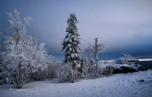 Winter, snow, national Park, Taganay, Black rock