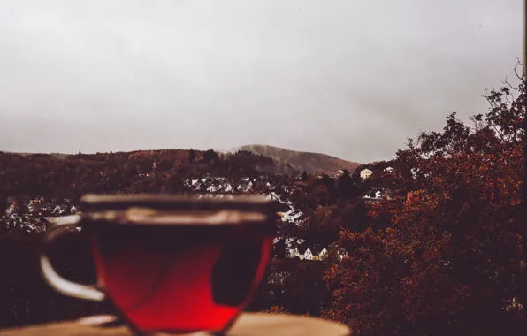 Cup, village, tea, cloudy, rainy