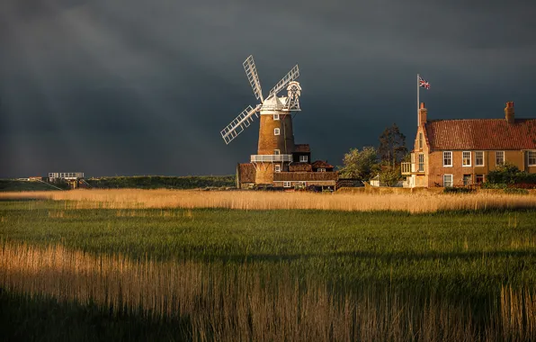 Field, the sky, grass, light, clouds, nature, glade, England