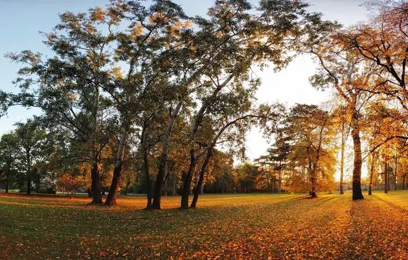 Autumn, leaves, trees, sunset, Park, foliage, yellow