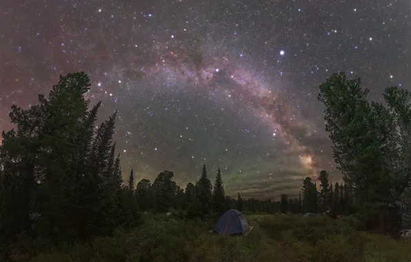 Trees, glade, galaxy, starry sky, tents, Kudashkina Ksenia, Pleasant dreams traveler