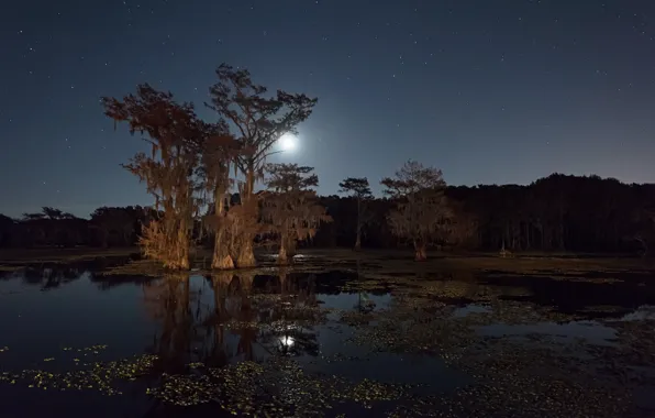 Picture night, river, the moon