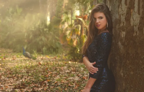 Picture autumn, look, girl, pose, tree, hair, dress, peacock