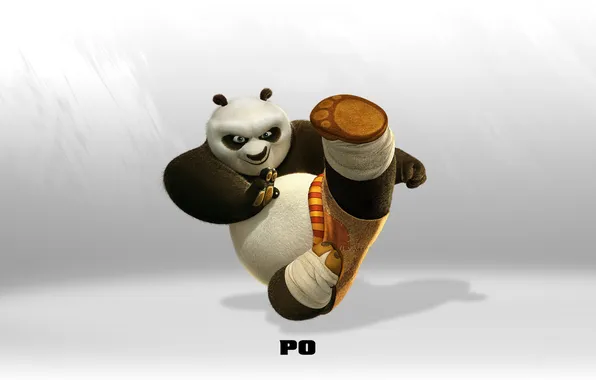 Picture Panda, kung fu