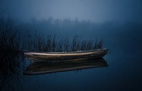 Night, lake, boat