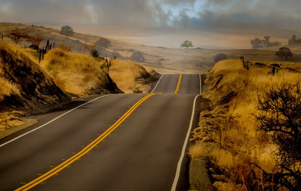 Picture Nature, Grass, Road, Hills, Markup