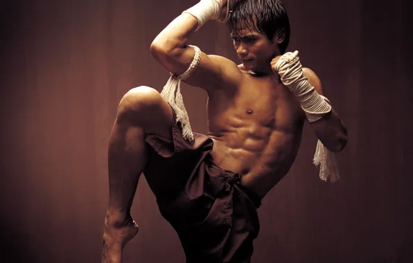 Picture wall, Ong bak, Thai Boxing