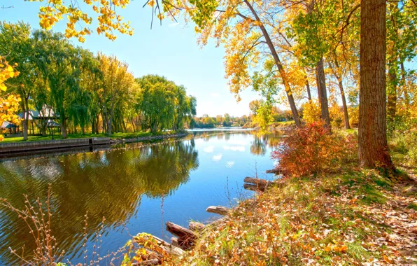 Picture autumn, trees, river, foliage
